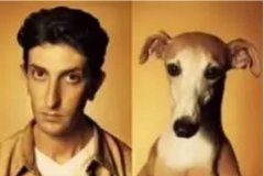 對(duì)于狗狗的這些秘密，您知道多少？