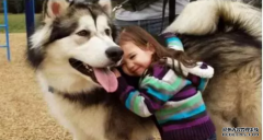 <b>這幾種表現(xiàn)證明狗狗真的很愛你！</b>